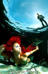 This shot, "The Mermaid" is 1 of the images from my WATER... by Aaron Wong 